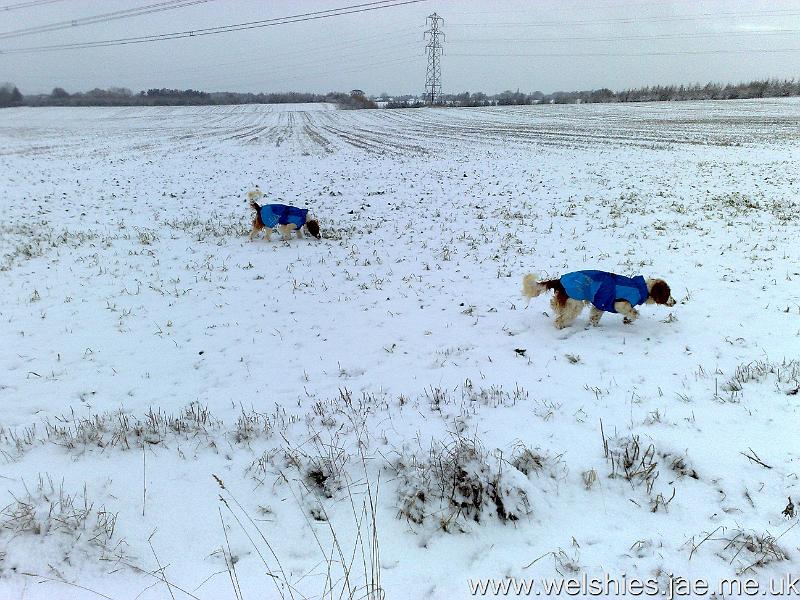 2010-01-06 20.jpg